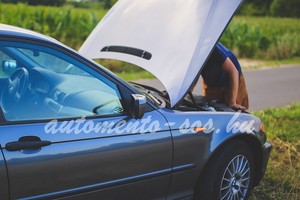 Tréleres autószállítás 